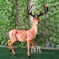 /msite/products/detail/productid/57983229/id/651323.html